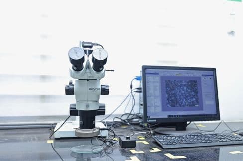 Stereo Microscope